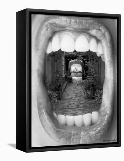 Inner Beauty-Thomas Barbey-Framed Stretched Canvas