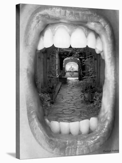 Inner Beauty-Thomas Barbey-Stretched Canvas