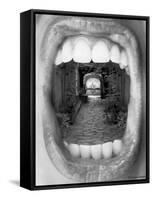 Inner Beauty-Thomas Barbey-Framed Stretched Canvas