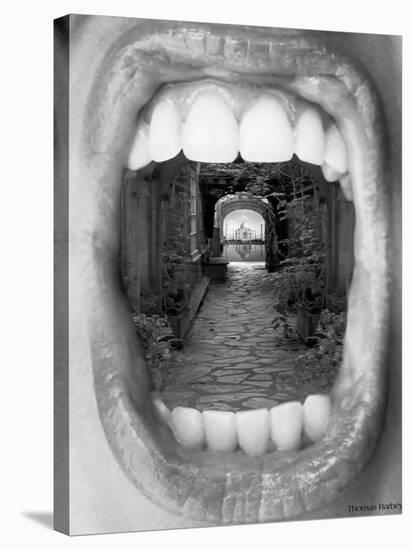 Inner Beauty-Thomas Barbey-Stretched Canvas