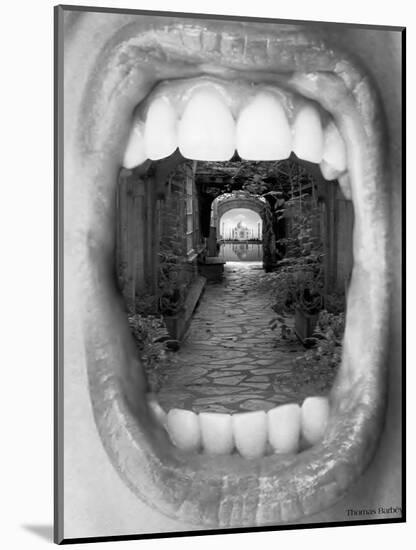 Inner Beauty-Thomas Barbey-Mounted Giclee Print