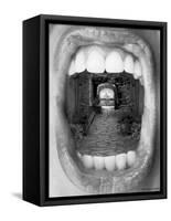Inner Beauty-Thomas Barbey-Framed Stretched Canvas