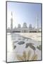 Inner Courtyard, Sheikh Zayed Bin Sultan Al Nahyan Moschee, Al Maqtaa-Axel Schmies-Mounted Photographic Print