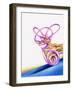 Inner Ear-John Bavosi-Framed Photographic Print