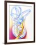 Inner Ear-John Bavosi-Framed Photographic Print