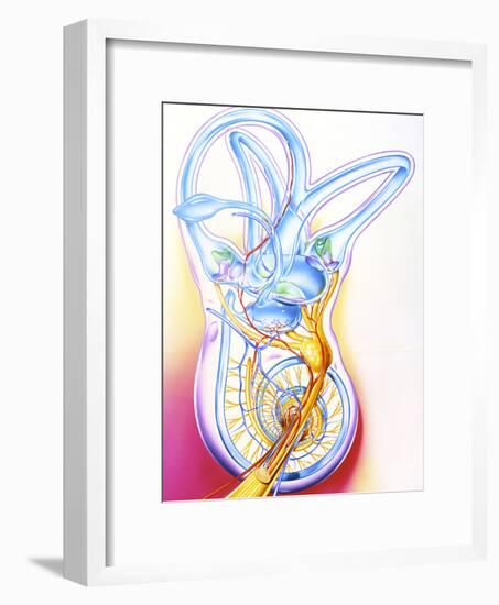 Inner Ear-John Bavosi-Framed Photographic Print