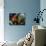 Inner Life Of Dream-agsandrew-Mounted Art Print displayed on a wall