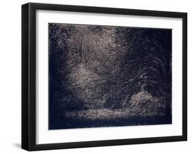 Inner Life-Petr Strnad-Framed Premium Photographic Print