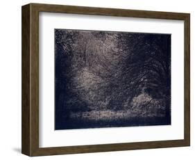 Inner Life-Petr Strnad-Framed Photographic Print