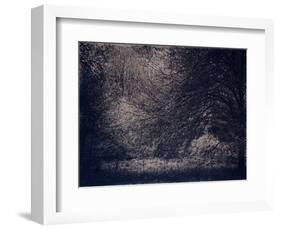 Inner Life-Petr Strnad-Framed Photographic Print