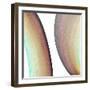 Inner Pathways  II-Alonzo Saunders-Framed Art Print