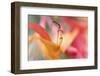 Inner Silence-Jacob Berghoef-Framed Photographic Print