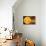 Inner Solar System, Artwork-Henning Dalhoff-Premium Photographic Print displayed on a wall