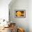 Inner Solar System, Artwork-Henning Dalhoff-Framed Photographic Print displayed on a wall