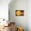 Inner Solar System, Artwork-Henning Dalhoff-Mounted Photographic Print displayed on a wall