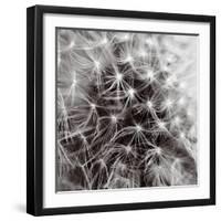 Inner Space-Joseph Eta-Framed Giclee Print