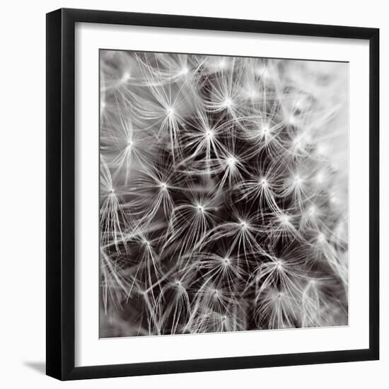 Inner Space-Joseph Eta-Framed Giclee Print