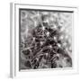 Inner Space-Joseph Eta-Framed Giclee Print