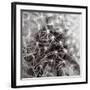 Inner Space-Joseph Eta-Framed Giclee Print