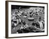 Inner Tube Floating Party on the Apple River-Alfred Eisenstaedt-Framed Photographic Print