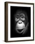 Innocent-Antonyus Bunjamin (Abe)-Framed Giclee Print