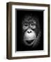 Innocent-Antonyus Bunjamin (Abe)-Framed Giclee Print