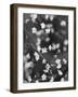 Innodrive-Jim Crotty-Framed Photographic Print