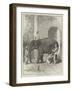 Inoculating an Elephant-null-Framed Giclee Print