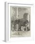 Inoculating an Elephant-null-Framed Giclee Print