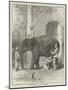 Inoculating an Elephant-null-Mounted Giclee Print