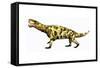 Inostrancevia Carnivorous Reptile from the Permian Period-Stocktrek Images-Framed Stretched Canvas