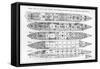 Inquiry in the Loss of the Titanic: Cross Sections of the Ship (Engraving) (B/W Photo)-English-Framed Stretched Canvas