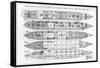 Inquiry in the Loss of the Titanic: Cross Sections of the Ship (Engraving) (B/W Photo)-English-Framed Stretched Canvas