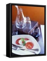 Insalata Caprese (Tomato with Mozzarella and Basil)-Alexandra Grablewski-Framed Stretched Canvas