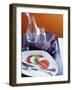 Insalata Caprese (Tomato with Mozzarella and Basil)-Alexandra Grablewski-Framed Photographic Print