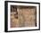 Inscription on Stone in the Great Court, Lebanon, Middle East-Fred Friberg-Framed Photographic Print