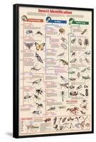 Insect Identification Educational Science Chart Poster-null-Framed Poster