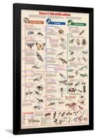 Insect Identification Educational Science Chart Poster-null-Framed Poster