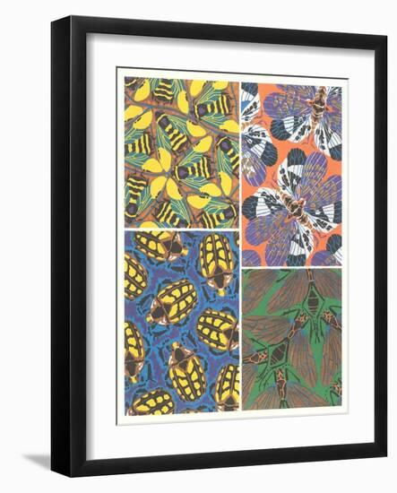 Insect Patterns-null-Framed Art Print
