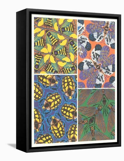 Insect Patterns-null-Framed Stretched Canvas