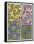 Insect Patterns-null-Framed Stretched Canvas