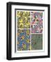 Insect Patterns-null-Framed Art Print