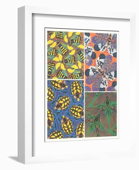 Insect Patterns-null-Framed Art Print