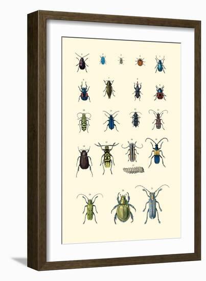 Insect Study-null-Framed Art Print