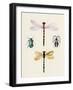 Insect Varieties I-Annie Warren-Framed Art Print