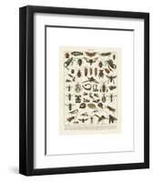 Insectes I-Adolphe Millot-Framed Art Print