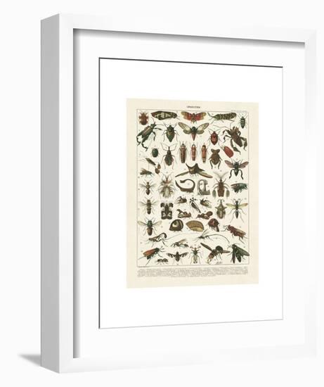 Insectes I-Adolphe Millot-Framed Art Print