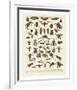 Insectes I-Adolphe Millot-Framed Art Print