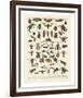 Insectes I-Adolphe Millot-Framed Art Print