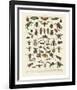 Insectes I-Adolphe Millot-Framed Art Print